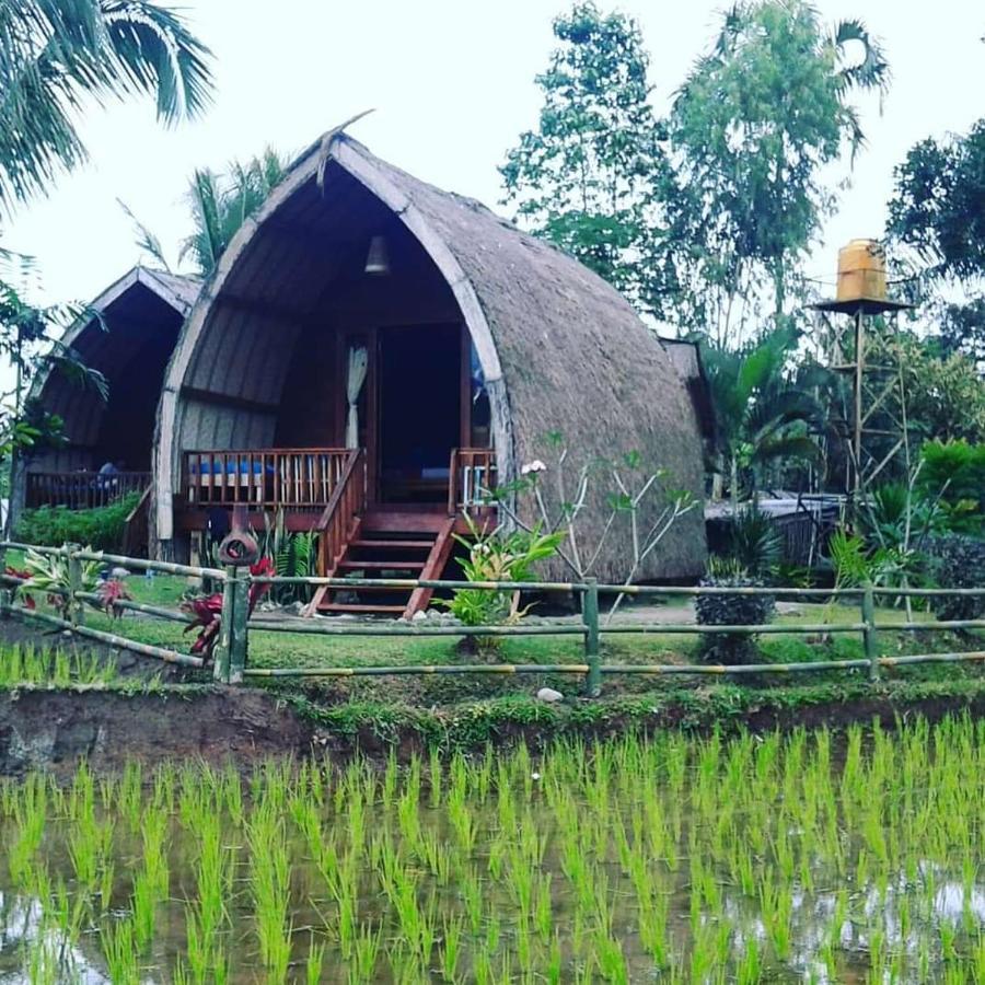 Hakiki Inn Bungalows Tetebatu Bagian luar foto